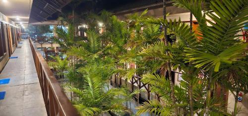 a bunch of plants on the side of a building at FRENTE MAR - Cumbuco - Eco Paradise in Cumbuco