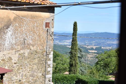 a view from the side of a building with a tree at HOME L'UPUPA AMIATA in Salaiola