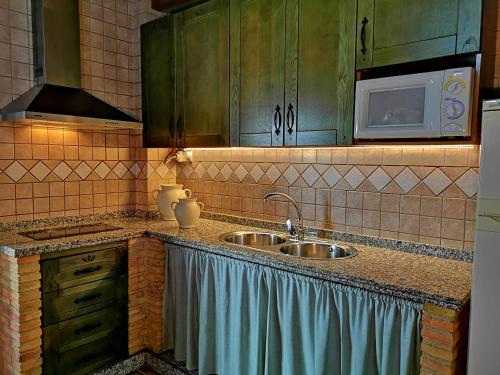 a kitchen with a sink and a microwave at VTAR San Isicio in Cazorla
