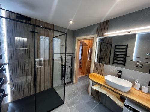 a bathroom with a sink and a glass shower at Apartamenty Smrekowka in Zakopane
