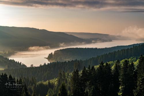 a view of a foggy valley with trees and a lake at Fewo Schwarzwaldblick, 3 Schlafzimmer Todtnau-Muggenbrunn, Liftverbund Feldberg in Muggenbrunn