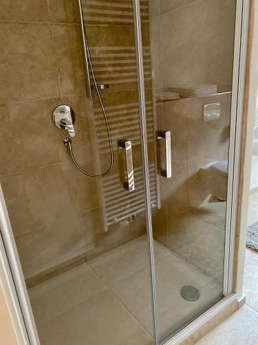 a shower with a glass door in a bathroom at Altes Forsthaus - Fewo "Hasenhorn", mit privater Sauna, Todtnau- Feldberg in Todtnau