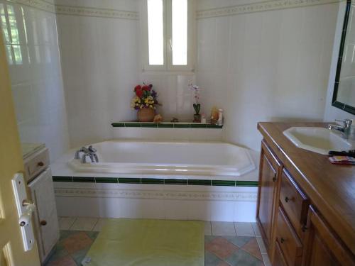 La salle de bains est pourvue d'une grande baignoire et d'un lavabo. dans l'établissement Magnifique Villa à la campagne avec piscine, à Saint-Aubin