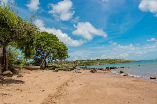 a sandy beach with trees and the ocean at Hôtel RIZIKY in Diego Suarez