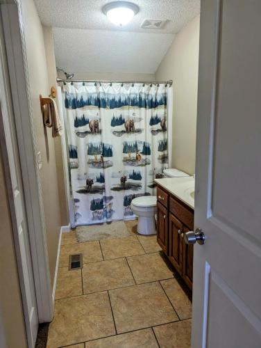 La salle de bains est pourvue de toilettes et d'un rideau de douche. dans l'établissement Castaway Cove, à Dandridge