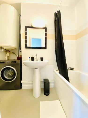 une salle de bain avec un lavabo et une machine à laver dans l'établissement Maison Art Deco Calme en centre ville, à Limoges