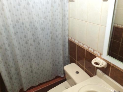 a bathroom with a toilet and a shower curtain at Hotel Misky Samay in Ayacucho
