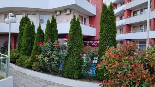 una fila de árboles frente a un edificio en Luxurious Studios Nani en Kranevo