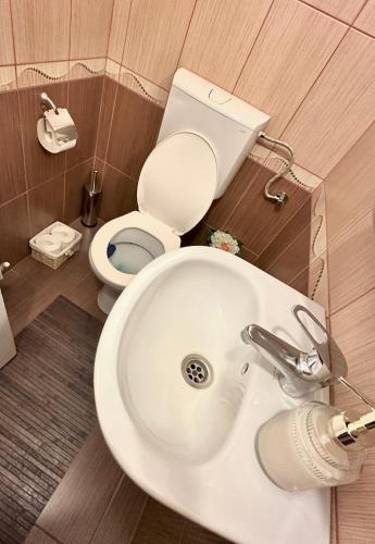 a bathroom with a white sink and a toilet at Home central apartment Sibiu in Sibiu