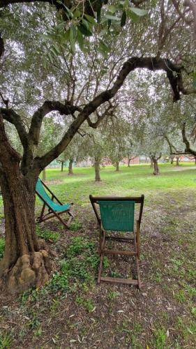 Un jardín fuera de Bibi a Mare