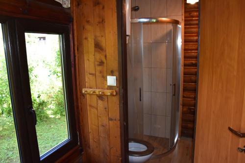 a bathroom with a toilet and a glass shower at Klimatyczny domek z łodką nad jeziorem in Dobre Miasto