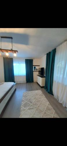 ein großes Schlafzimmer mit einem Bett und blauen Vorhängen in der Unterkunft Casa Coman in Bogdan Vodă