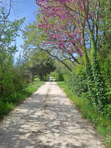 Photo de la galerie de l'établissement T2 au naturel Aix-en-Provence, à Aix-en-Provence