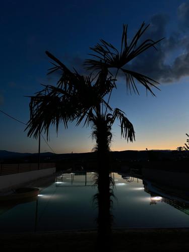 a palm tree in front of the sunset at Anemolia Resort and Spa in Ioannina