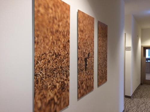 a row of three paintings hanging on a wall at Landgasthof Hepting in Massenhausen