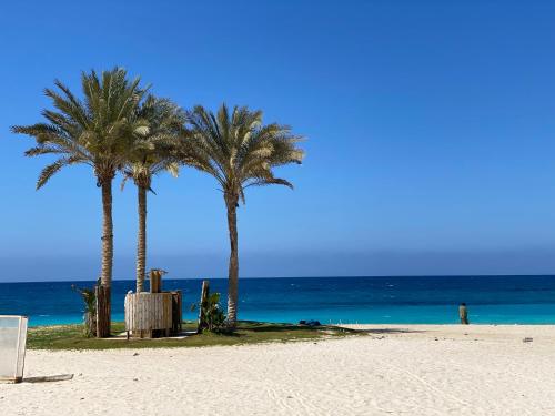 two palm trees on a beach with the ocean at Luxury Beach Living in Mountain View in Ras Elhekma