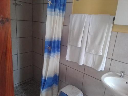 a bathroom with a shower curtain and a sink at FEATHERS INN GUEST HOUSE in Walvis Bay