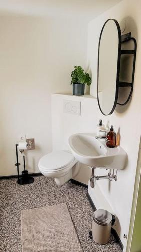 a bathroom with a toilet and a sink and a mirror at Stilvolle, zentrale Wohnung in Graz
