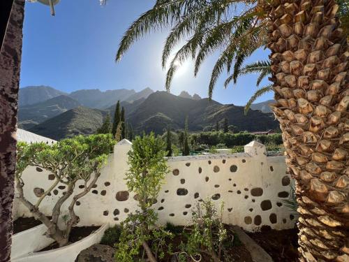 a palm tree and a wall with mountains in the background at Finca Exclusiv La Mareta in Agaete