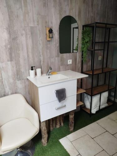 a bathroom with a sink and a chair and a mirror at Gite Le cheval blanc au centre de Carrouges in Carrouges