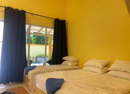 2 camas en una habitación con una pared amarilla en Thoddoo Island Holiday Inn en Thoddoo