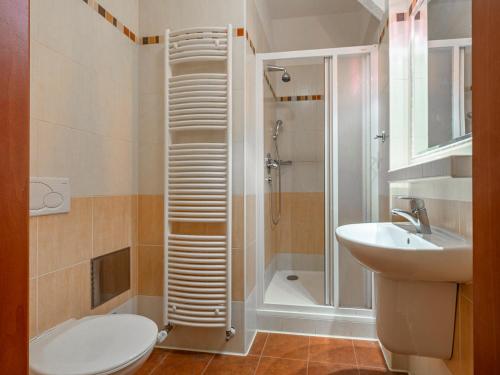 a bathroom with a shower and a toilet and a sink at Mlýn Mitrovice in Příbram
