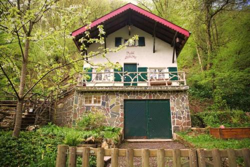 a house with a green door in the woods at Charming Chalet with River View in Michelau