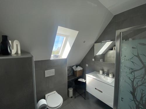 a bathroom with a toilet and a sink at Les Rives des Habsbourg in Ensisheim