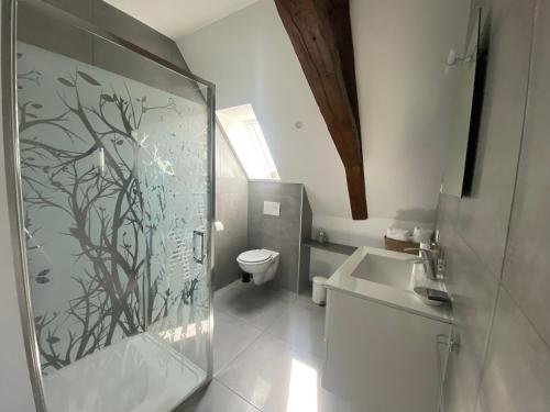 a bathroom with a shower and a toilet and a sink at Les Rives des Habsbourg in Ensisheim