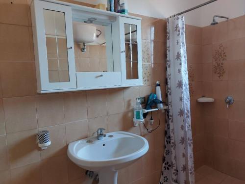 bagno con lavandino, specchio e doccia di Casa Vacanze La Pineta a Taviano