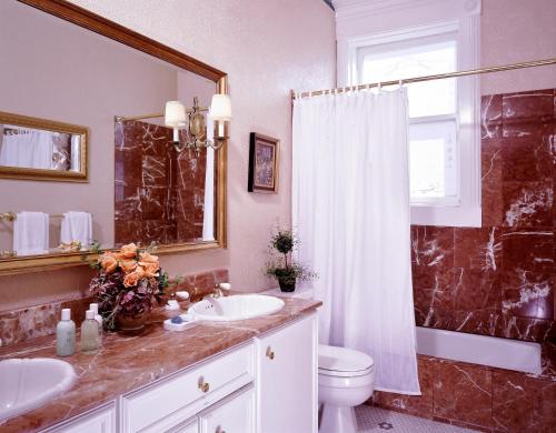 a bathroom with a toilet and a sink and a shower at Hotel Majestic in San Francisco