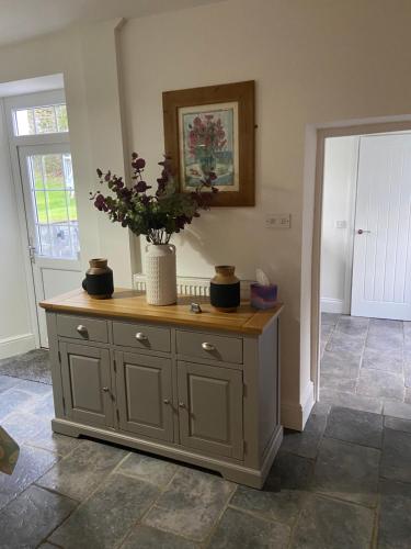 a cabinet with a plant on top of it in a room at The Farmhouse in Swansea