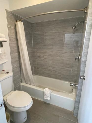 a bathroom with a toilet and a tub and a shower at Americas Best Value Inn-Mojave in Mojave