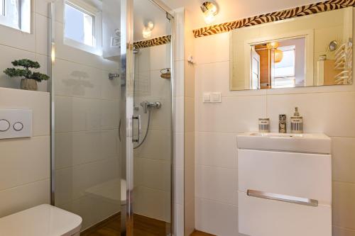 a bathroom with a shower and a toilet and a sink at Apartamenty Kuracyjna in Jastrzębia Góra