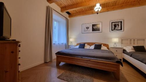 Schlafzimmer mit einem Bett, einem TV und einem Fenster in der Unterkunft Penzion Osika in Nová Bystřice