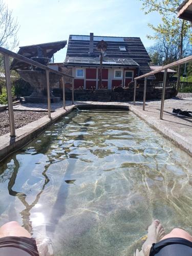 una piscina de agua frente a una casa en Pilgerzimmer, en Bad Langensalza