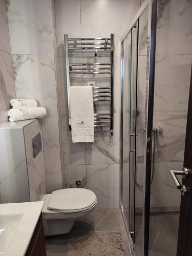a bathroom with a toilet and a glass shower at Titova vila apartman Vardar 17 in Palisat