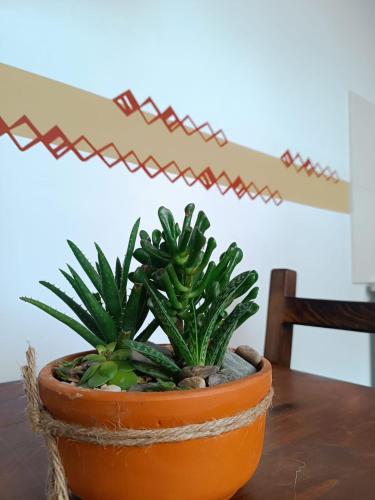 a plant in an orange pot sitting on a table at Hotel Boutique La Cueva de la Luna, El Arte se hace Descanso in Duitama