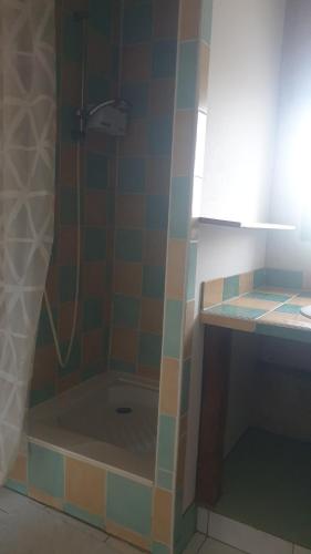 une salle de bain avec douche et lavabo dans l'établissement La maison de falun, à Ambillou-Château