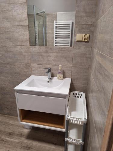 een badkamer met een witte wastafel en een spiegel bij Borowy Zakątek in Stara Kiszewa