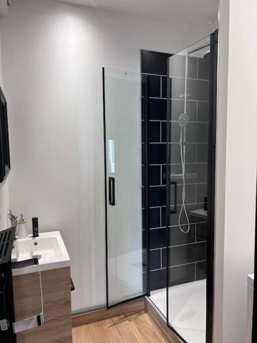 une salle de bain avec douche et lavabo dans l'établissement Studio aux abords des étangs, à Milly-sur-Thérain