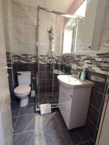 a bathroom with a toilet and a sink and a shower at Apartman PINA Vrnjacka Banja in Vrnjačka Banja