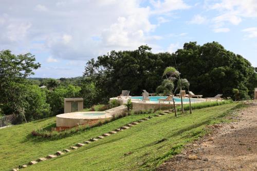 a swimming pool in the middle of a grass field at Margarita Ecovillage in Miches
