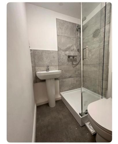 y baño con lavabo, ducha y aseo. en Giles Apart, en Edimburgo