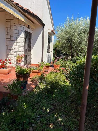 Apartments with a parking space Stinjan, Pula - 22993