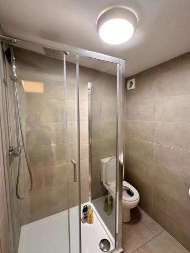a bathroom with a shower and a toilet at 9 probyn close in Bristol