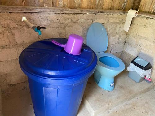 uma lata de lixo azul ao lado de uma sanita azul em INDOS HOMESTAY em Besir
