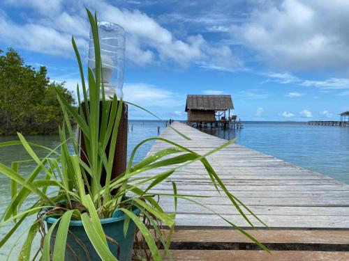 a wooden dock with a plant on the water at Indos Homestay-Raja Ampat in Besir