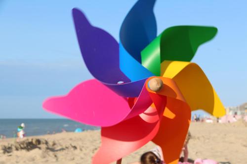 un cerf-volant en forme d'oiseau sur une plage dans l'établissement La Plage, à La Panne