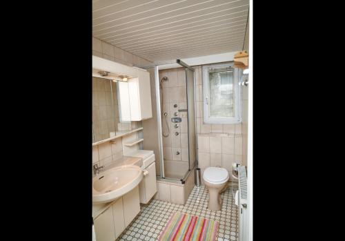 a bathroom with a toilet sink and a shower at Schöne Unterkunft mit Billard in Meinerzhagen